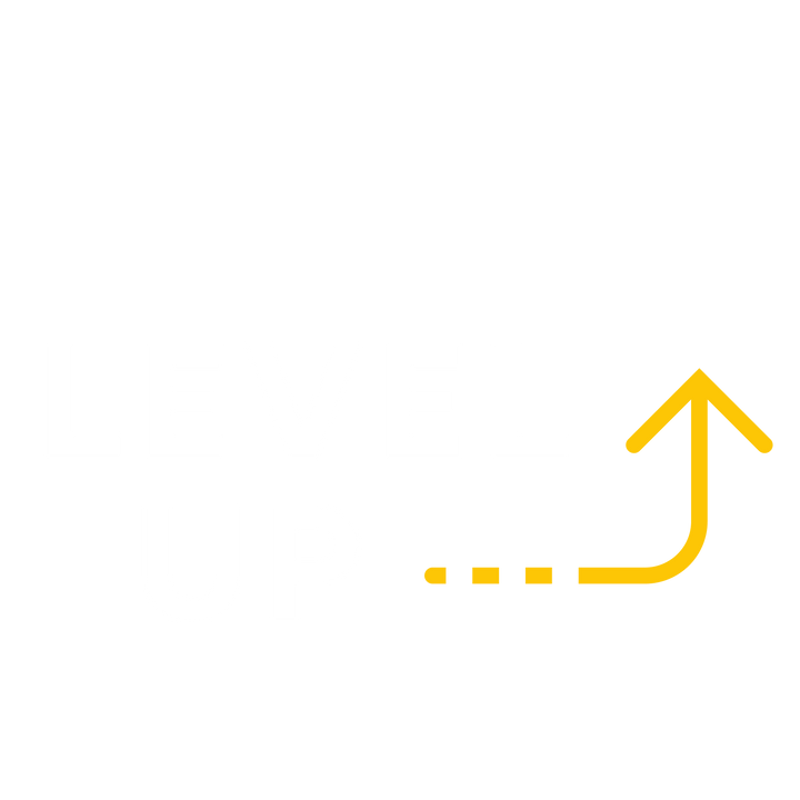 The Level Up logo